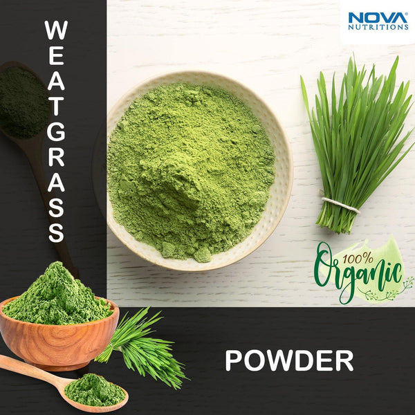 Nova Nutritions Certified Organic Wheat Grass Powder 16 OZ (454 gm) - Nutrient Rich Superfood - Nova Nutritions